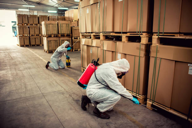 Best Pest Removal Services  in Lowell, AR