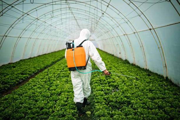 Best Commercial Pest Control Services  in Lowell, AR