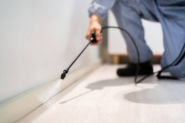 Best Flea Control Services  in Lowell, AR